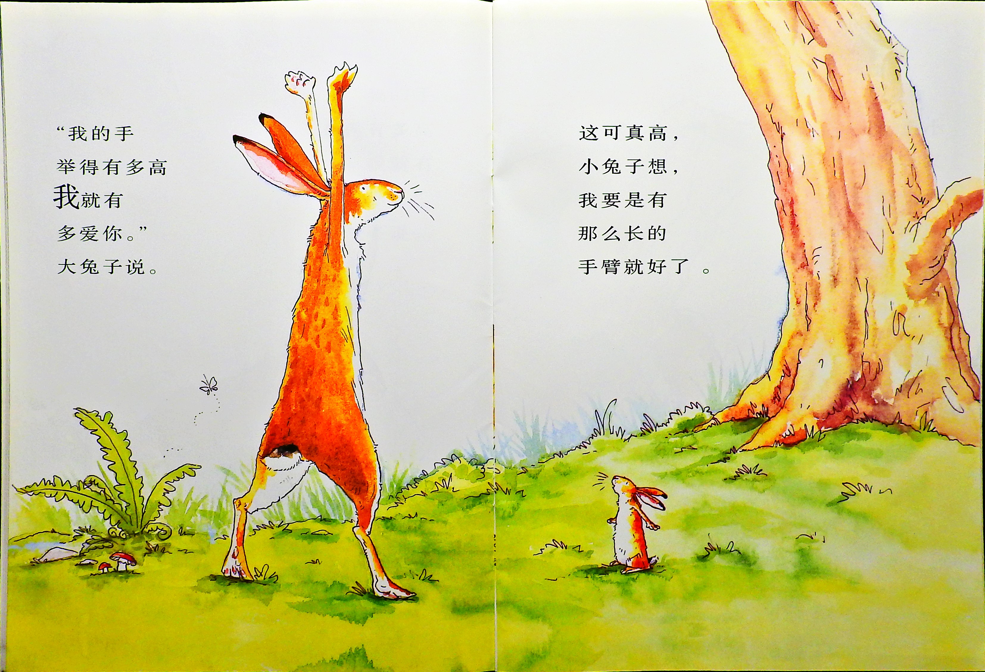 猜猜我有多爱你 (09),绘本,绘本故事,绘本阅读,故事书,童书,图画书,课外阅读